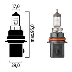 Лампа FLOSSER HB1 12V 65/45W P29t: купить недорого в Кишиневе